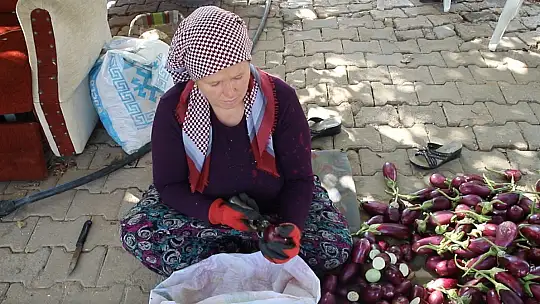 Gaziantepli kadınların kurutmalık mesaisi devam ediyor