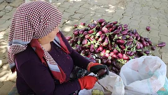 Gaziantepli kadınların kurutmalık mesaisi devam ediyor