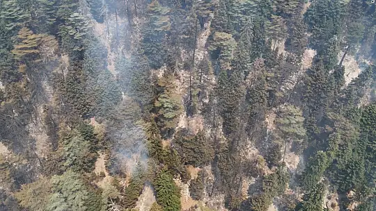 Gazipaşa'daki orman yangını 3. gününde kontrol altına alındı