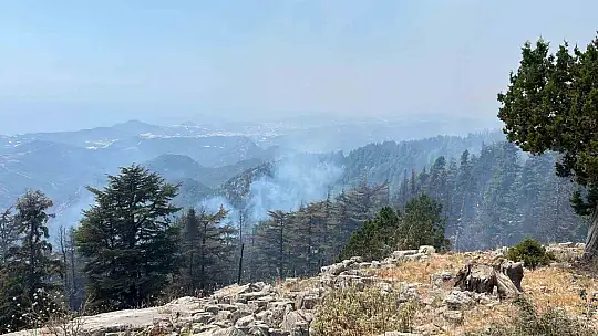 Gazipaşa'daki orman yangını 3. gününde kontrol altına alındı