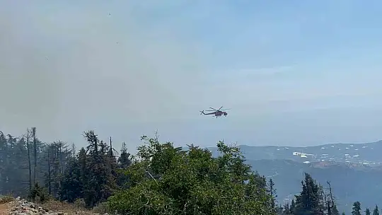 Gazipaşa'daki orman yangını 3. gününde kontrol altına alındı