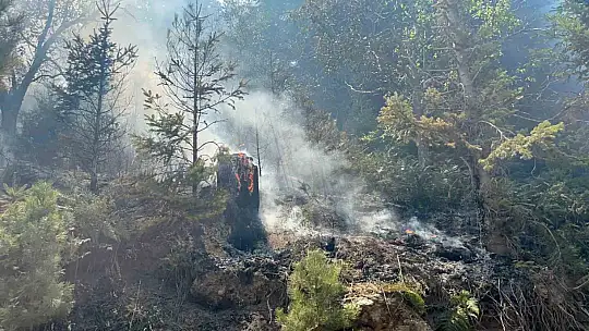 Gazipaşa'daki orman yangını 3. gününde kontrol altına alındı