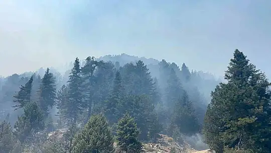 Gazipaşa'daki orman yangını 3. gününde kontrol altına alındı