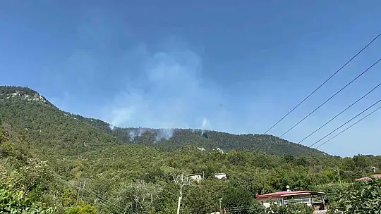 Gazipaşa'daki orman yangını 3. gününde kontrol altına alındı