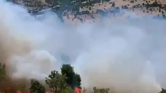 Gerger'de korkutan orman yangını