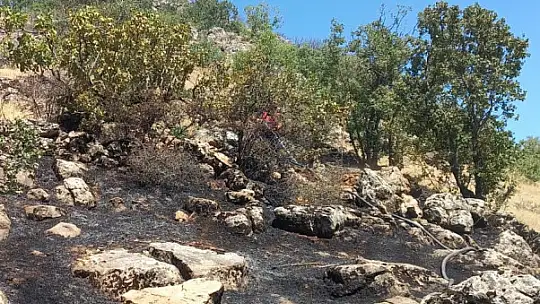 Gölbaşı'nda ormanlık alan yandı
