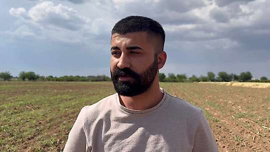 Hububat hasadıyla birlikte pamuk tarlalarını bekleyen tehlike