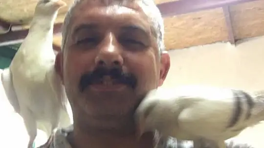 İki ayağını kaybetti, güvercinlerle hayata bağlandı