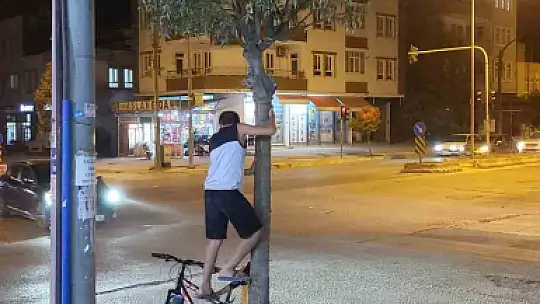 Adıyaman'da ağaçta mahsur kalan yavru kediyi iki çocuk kurtarmak için seferber oldu
