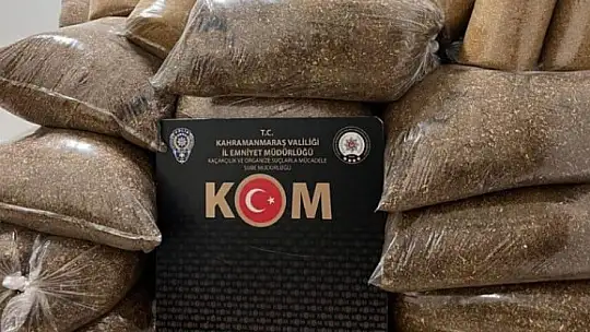 Kaçakçılık operasyonlarında Tevrat ele geçirildi