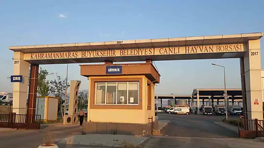 Kahramanmaraş canlı hayvan pazarı açıldı