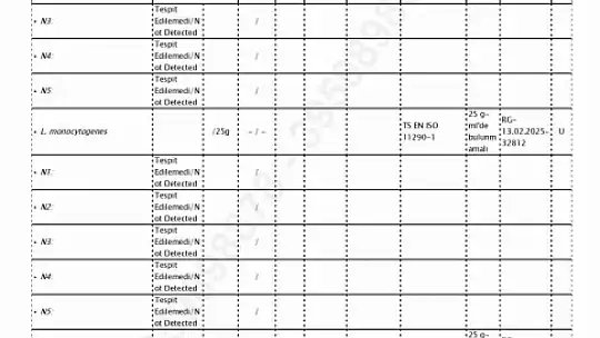 Kahramanmaraş'ın dondurma markası Alpedo hakkındaki