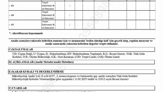 Kahramanmaraş'ın dondurma markası Alpedo hakkındaki