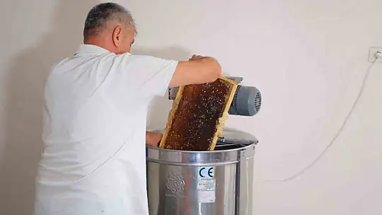 Kahramanmaraş'ta bu yıl 10 bin tonunun üzerinde bal rekoltesi bekleniyor
