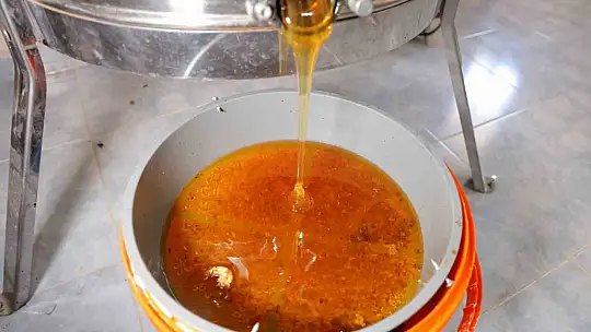 Kahramanmaraş'ta bu yıl 10 bin tonunun üzerinde bal rekoltesi bekleniyor