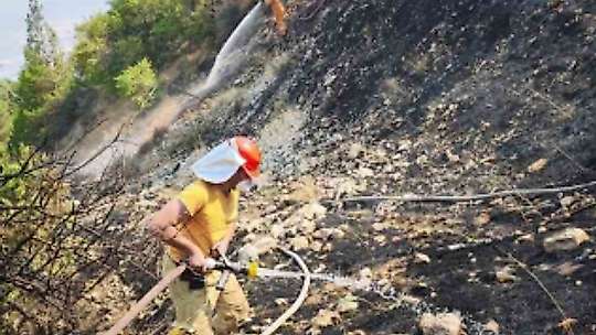 Kahramanmaraş'ta çıkan orman yangını kontrol altına alındı