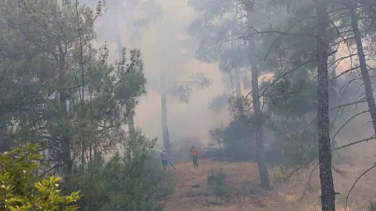 Kahramanmaraş'ta orman yangını