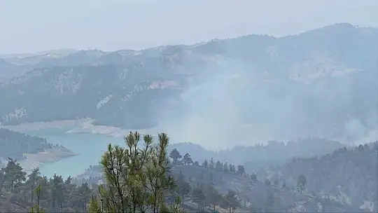 Kahramanmaraş'ta orman yangınına müdahale sürüyor