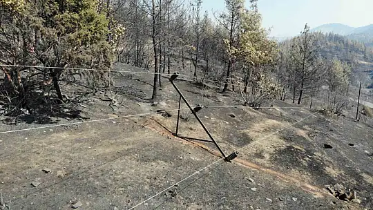 Kahramanmaraş'ta yangın sonrası küle dönen ormanlık alan dronla görüntülendi