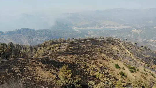 Kahramanmaraş'ta yangın sonrası küle dönen ormanlık alan dronla görüntülendi