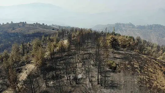 Kahramanmaraş'ta yangın sonrası küle dönen ormanlık alan dronla görüntülendi