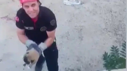 Kanala düşen yavru köpek kurtarıldı