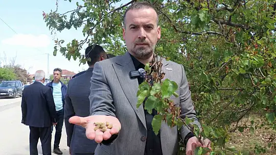 Karademir,' 'Malatya kayısısız kalırsa ekonomi durur'