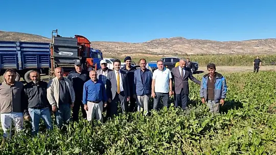 Kaymakam Seyhan, şeker pancarı hasadına katıldı