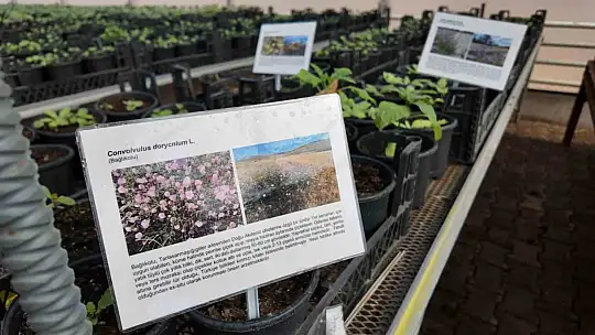 Kurakçıl Peyzaj Tasarımı Projesi'ne destek