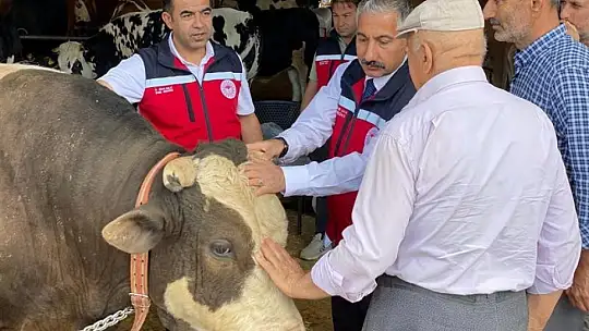 Kurbanlık hayvan satışı ve nakliyesi sıkı denetimde