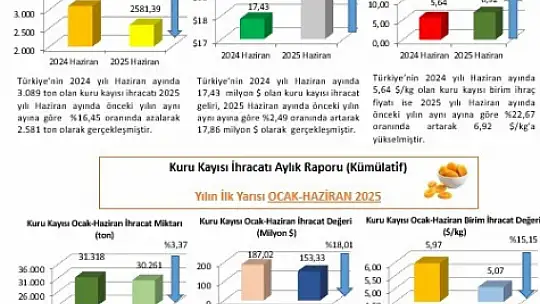Kuru kayısı ihracatı yüzde 18 geriledi