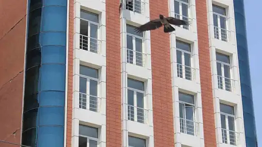 Kuş gibi süzülüp metrelerce yükseklikte çalışıyorlar