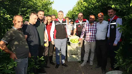Limon hasadı 25 ve 27 Eylül tarihlerinde başladı