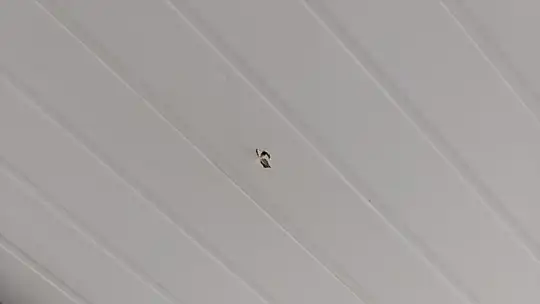 Maganda kurşunu çatıyı delip içeriye girdi