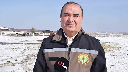 Malatya'da 2026 şampiyon adayı taylar dünyaya gelmeye başladı