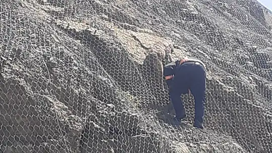 Malatya'da ağa takılan 2 yaban keçisi kurtarıldı