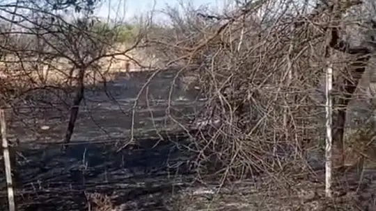 Malatya'da bahçe yangını