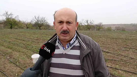 Malatya'da gramı 600 TL olan safran yok satıyor