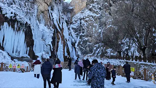 Malatya'da Gürpınar Şelalesi buz tuttu