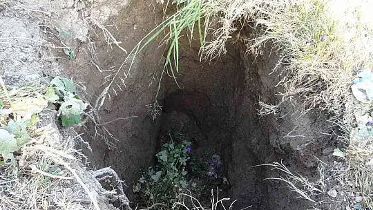 Malatya'da kayısı bahçesinde obruk oluştu