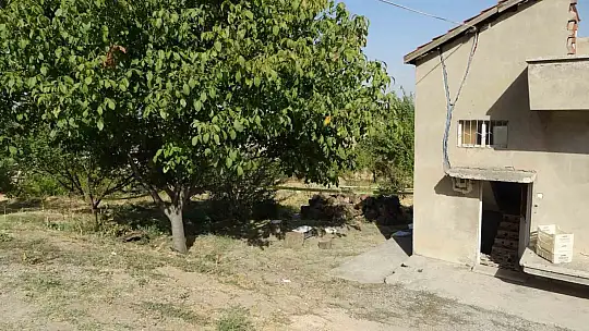 Malatya'da kayısı bahçesinde obruk oluştu