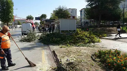 Malatya'da kontrolden çıkan hafriyat kamyonu iş yerlerine daldı: 4 iş yeri kullanılamaz hale geldi