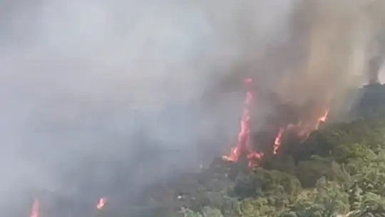 Malatya'da orman yangını