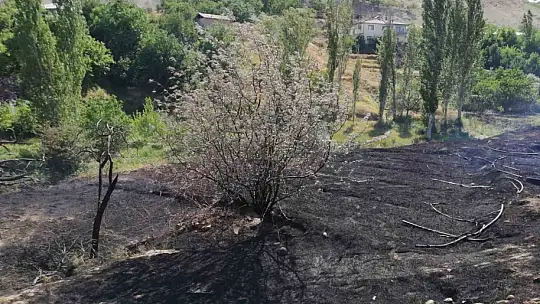 Malatya'da ot yangını