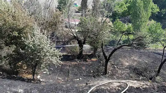 Malatya'da ot yangını