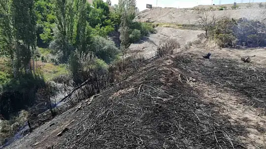 Malatya'da ot yangını