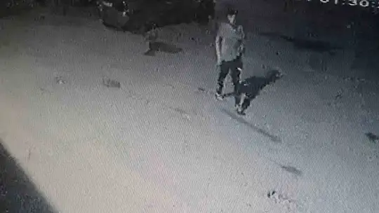 Malatya'da oto hırsızlığı girişimi kameraya yansıdı
