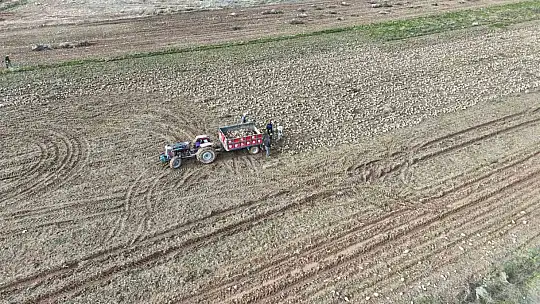 Malatya'da şeker pancarında yüksek verim çiftçinin yüzünü güldürdü