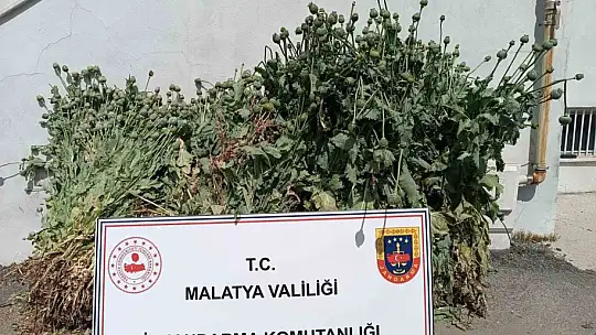 Malatya'da uyuşturucu operasyonları