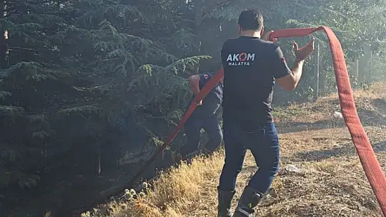 Malatya'daki orman yangınına havadan ve karadan müdahale sürüyor